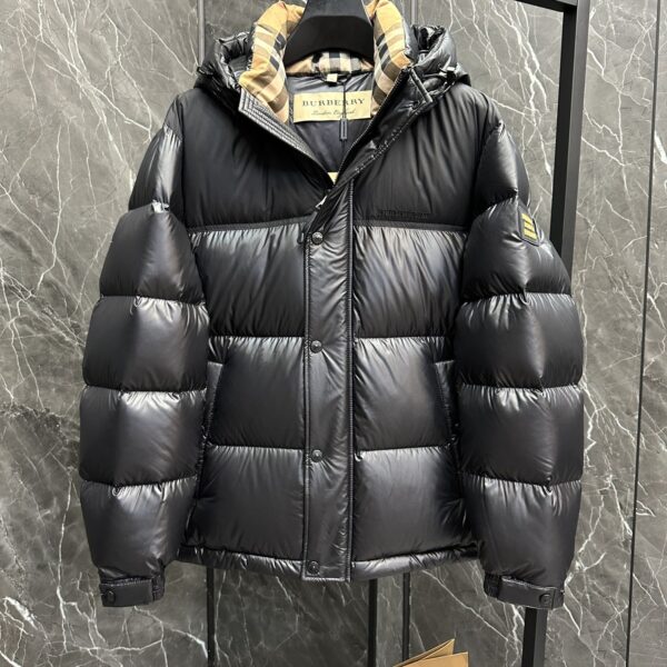 Burberry Men's Down Jacket 41