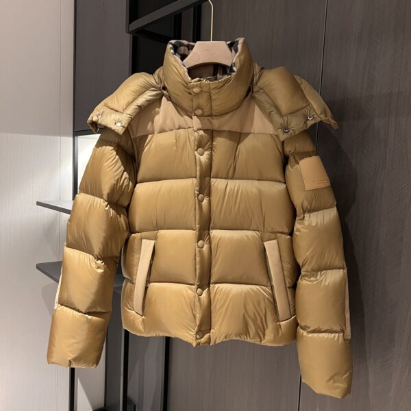 Burberry Men's Down Jacket 19