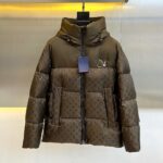 Louis Vuitton Men's Down Jacket