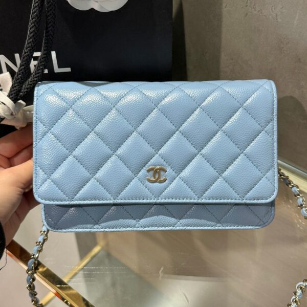 Chanel Caviar Tiny CC Wallet on Chain WOC Crossbody Bag Green 19cm