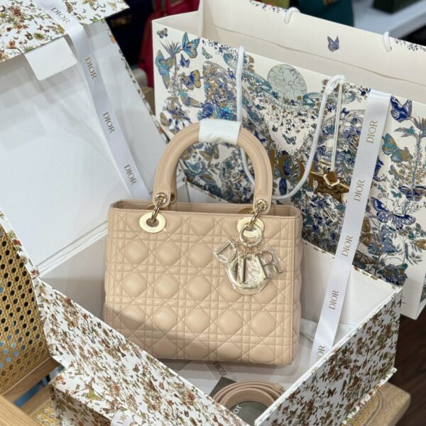 Dior Lady Be Color Women's Replica 11 High-End 24cm Handbag