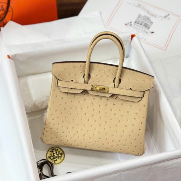 Hermes Birkin Crocodile Leather Bag Be Color Gold Lock 25cm