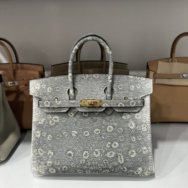 Hermes Birkin Women's Lizard Leather Handbag Gold Lock 25cm