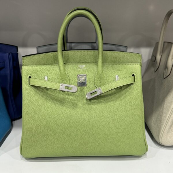 Hermes Birkin Bag PHW Togo Women Green Silver Lock 25cm
