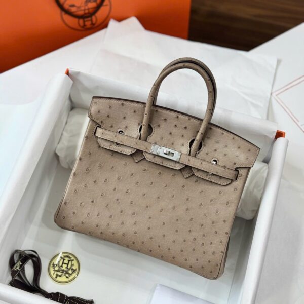 Hermes Birkin Women's Handbag Genuine Ostrich Leather White Lock 25cm