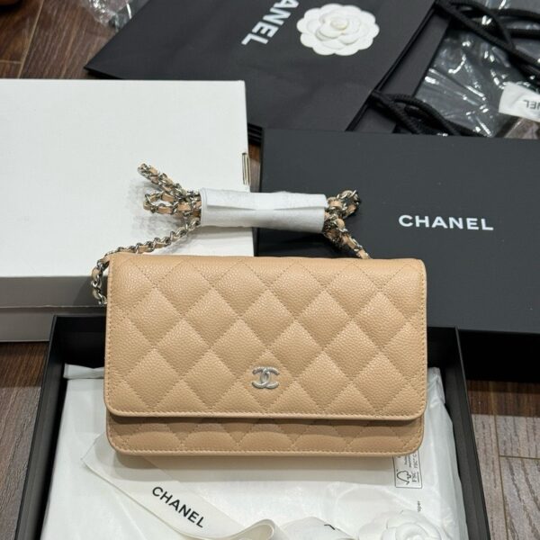 Chanel Woc Entrupy Be Color Silver Lock 19cm Super Premium Handbag