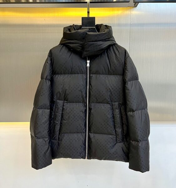 Louis Vuitton Men's Down Jacket